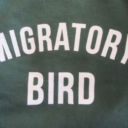 今回のロゴは「MIGRATORY BIRD（渡り鳥）」だそうですよ！。