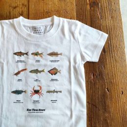 図鑑みたいに魚たちがならんでます。