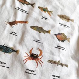 いくつ分かりますか？。