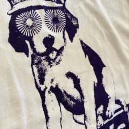 ・・ん？家にいなかったっけ？？