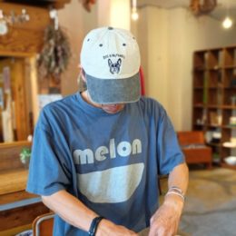 で、被ってみるとこんな感じです。（FRENCH BULLDOG着用）