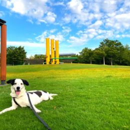 「コッチヘオイデヨォ～。」