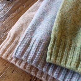 (ひだりから)CALOCO, AURORA, AVOCADO になります。