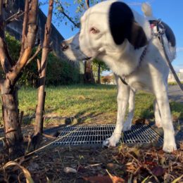 「イマハァ～♪モォ～アキ～ィ♬」