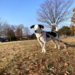 「サムクテハナミズガデチャウネッ！？」