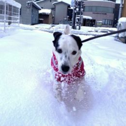 「プッシャャャアァァアァァ～」