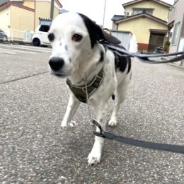 「ン？ナンカオオクナイ・・ヒモ？？」