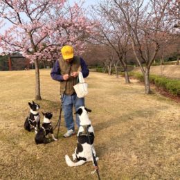 「ネーネーオイチャンオイチャン、アタイニモオヒトツワケテオクレヨー」